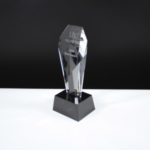 HITOP danh hiệu K9 pha lê của viatenam nguồn gốc/Globe Trophy khắc logo pha lê/Trophy giải thưởng pha lê - Product Image 2