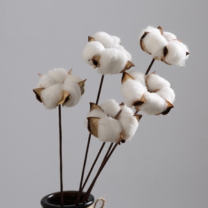 Décoration de mariage en gros, fleurs préservées, 100% naturelles, respectueuses de l'environnement, longue durée de <span class=keywords><strong>vie</strong></span> - Product Image 4