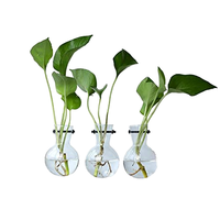 Station de propagation de vase en verre d'ampoule de planteur d'air de bureau pour les plantes aquatiques d'intérieur de maison et de jardin hydroponiques