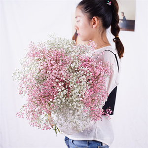 Ramo de Gypsophila secas naturales para bebé, flores para bebé, Gedroogde, decoración de boda, Dekoration - Product Image 2