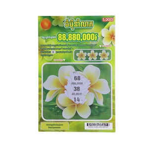 Boletos de Lotería Personalizados en Línea, Boletos de Lotería Rasca y Gana, Diseño Gratuito de Fábrica, Producción de Alta Calidad - Product Image 3