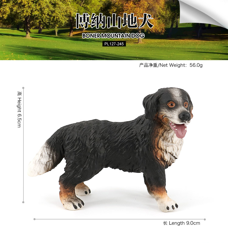 245Perro de montaña Boner