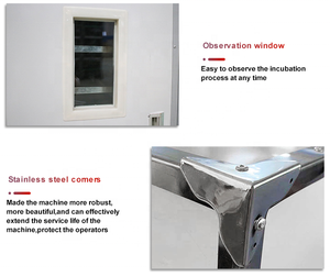 264 Trứng Công Suất Hoàn Toàn Tự Động Lồng Ấp, Trứng Setter Và Hatcher Trong Một Máy - Product Image 3