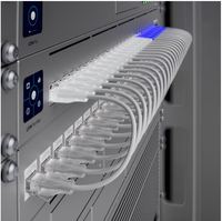 Câble réseau Ubiquiti Etherlighting 3 mètres blanc CAT6 haute vitesse mince UACC-Cable-Patch-EL-3M-W 2,5 Gbit/s PoE+++ RJ45
