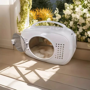 Offre Spéciale Portable petite taille transporteur pour animaux de compagnie fabricant vol Pet meubles chien <span class=keywords><strong>Cage</strong></span> en plastique Air <span class=keywords><strong>Cage</strong></span> boîte - Product Image 2