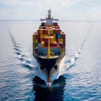 Agent d'expédition de fret maritime océan Prix logistique Ddu Ddp porte à porte USA Canada Mexique