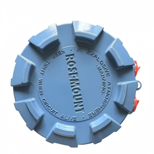 Rosemounte 8750W เครื่องวัดการไหลของแม่เหล็กไฟฟ้าที่มีความแม่นยำเครื่องส่งสัญญาณความดัน - Product Image 2