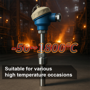 Công nghiệp PT100 k loại cặp nhiệt điện B R S Loại bạch kim Rhodium cảm biến nhiệt độ OEM/ODM hỗ trợ PT100 cặp nhiệt điện - Product Image 3