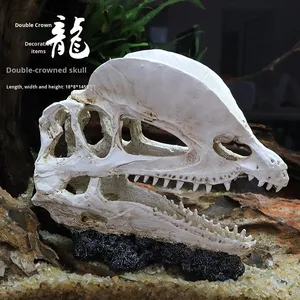 Crâne de dinosaure en résine écologique, plante aquatique réaliste pour l'aménagement paysager, accessoires décoratifs pour aquarium - Product Image 5
