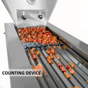 Máquina de envasado y sellado de llenado de bolsas con cremallera para tapones para los oídos desechables, dispositivo de conteo de gránulos de Hardware - Product Image 4