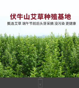 モクサスティックモクサ中国マッサージ器モクサション - Product Image 4