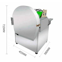 Multifunctionele Groene Ui Groente Chopper Groentesnijmachine Fruitsnijder Motor Fabriek Verstrekt 1 Set 33
