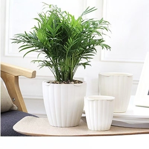 <span class=keywords><strong>Maceta</strong></span> Transparente de Plástico Creativa de Doble Capa con Almacenamiento de Agua, <span class=keywords><strong>Maceta</strong></span> Automática de Autoabsorción de Agua para Plantas Verdes - Product Image 3