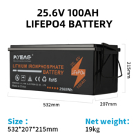 Batterie LiFePO4 personnalisée 25,6 V 100 Ah, pack de batterie au lithium 24 V, remplacement pour batteries au plomb, plus de 4000 cycles, étanche IP65, BMS intégré pour usage domestique