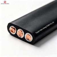 Kabel Motor Submersible Datar JHSB Tahan Air dan Minyak 450/750V untuk Pompa Industri