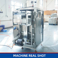 Machine d'emballage automatique multi-voies (2 voies) pour conditionneur et shampoing, machine d'emballage multi-pistes pour sachets de liquides, gel douche et produits capillaires