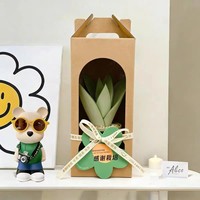 Boîte cadeau personnalisée en papier kraft avec fenêtre et poignée, emballage en carton pour pot de fleurs, idéal pour la vente au détail de plantes succulentes en pépinière