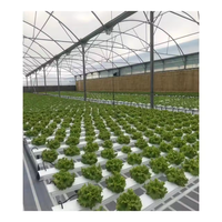 Système hydroponique personnalisé en tuyaux PVC carrés, système NFT en plastique, tuyaux carrés pour plantes hydroponiques, système de tuyaux NFT, tuyaux de drainage
