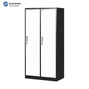 Armario para la escuela, dormitorio individual, 2 puertas, gimnasio, escuela, taquillas de gimnasio, a la venta, caja comercial, armario con llaves, muebles modernos - Product Image 1