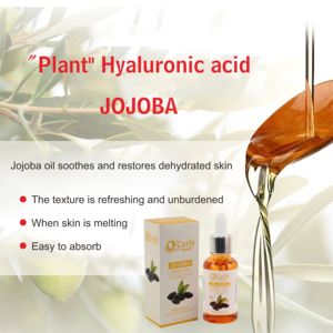 Oem nhãn hiệu riêng Mặt huyết thanh Jojoba hạt giống tinh dầu axit hyaluronic làm trắng và chống đốm đen Kem dưỡng ẩm dạng lỏng - Product Image 6