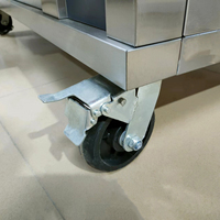 Nouvelle Four à Sole Industrielle et Commerciale Électrique 220V à 2 Niveaux et 4 Plateaux, Haute Productivité, pour Boulangerie (Farine de Blé, Lait)