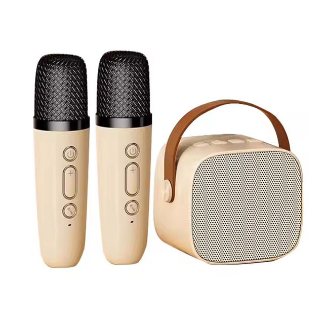 Factory Direct Best BT Mini Music Player Speakers BT Hand Held Portable TF Card Wireless Outdoor Karaoke Speaker with Microphone