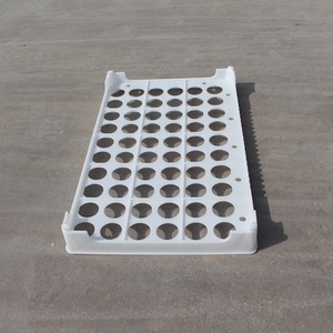 Hot <strong>Selling</strong> <strong>Plastic</strong> Egg <strong>Tray</strong> 60 Holes <strong>Plastic</strong> Egg Packing <strong>Tray</strong> Wholesale Price <strong>Plastic</strong> Chicken Egg <strong>Tray</strong> Incubator Hatching <strong>Tray</strong> - Product Image 3