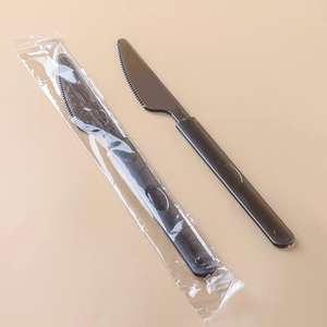 Juego de Cubiertos Desechables de Plástico OEM ODM, Juego de Cubiertos de Plástico Biodegradable PS, Juego de Cuchara, Tenedor y Cuchillo de Plástico - Product Image 3