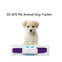 Dispositif de suivi GPS 4G, localisateur GPS intelligent, mini collier portable, traceur GPS pour enfants, animaux de compagnie, chats, chiens