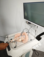 Modèle anatomique d'entraînement à la coloscopie en matériau souple ressemblant à de la peau, outil de simulation réaliste pour l'éducation en soins infirmiers et en sciences médicales