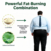 Puissantes capsules brûle-graisses amincissantes |   Complément alimentaire Slim Plus pour la perte de poids, la réduction de la graisse abdominale et l'amincissement du corps