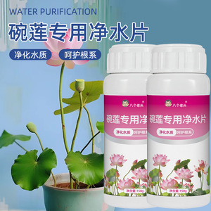 Huit comprimés de purification d'eau pour nénuphars, 150g, purifie l'eau, protège les racines - Product Image 3