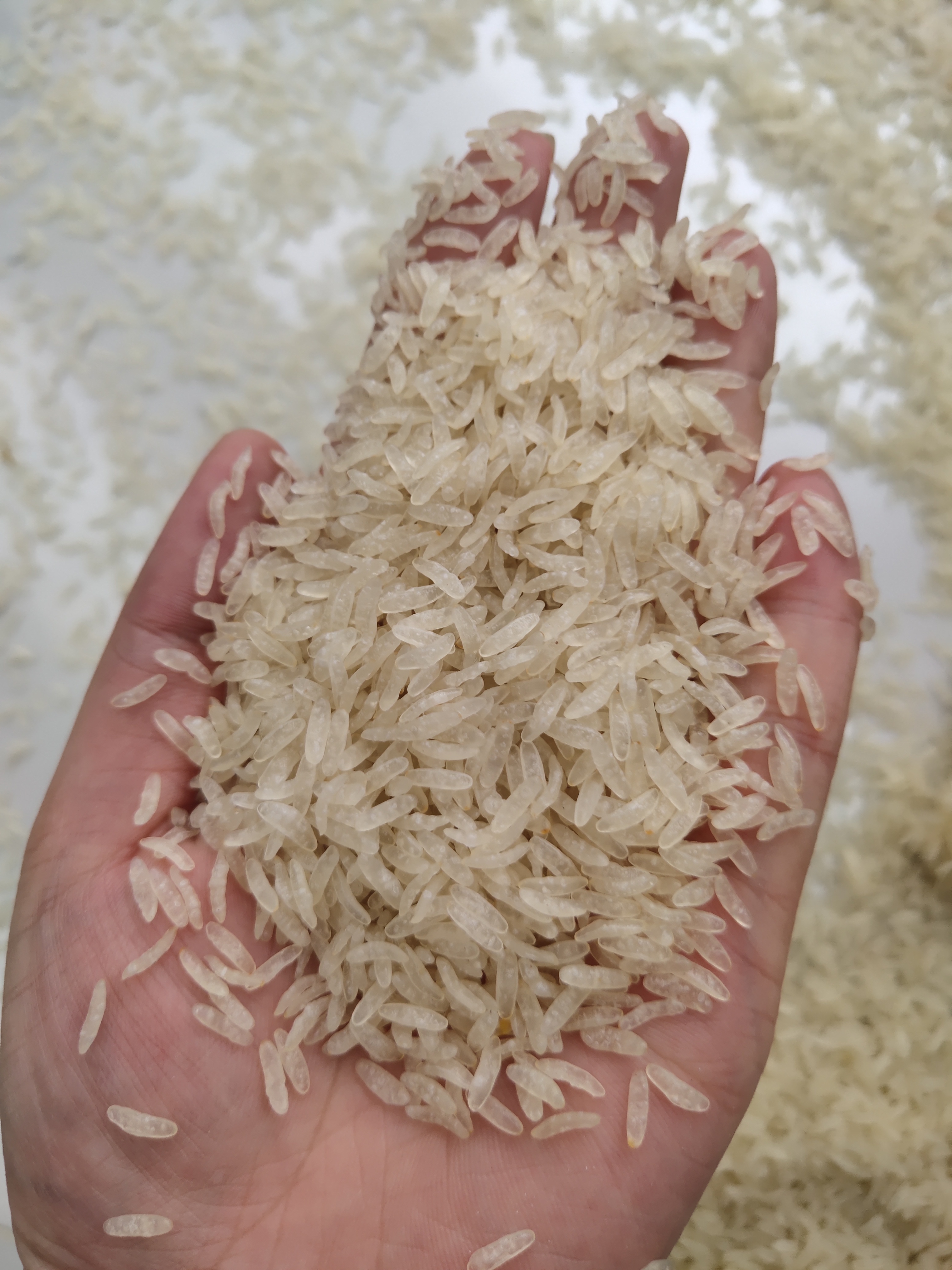 201 304 SS Artificial Rice Making Fortified Rice Machinery Plant 150kg/H