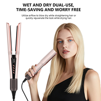 MESKY nouveau produit 1300W puissance fer plat pour usage domestique moteur sans brosse 2 en 1 air outil de coiffure