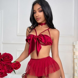Conjunto de Lencería de Malla para Mujer, Estilo Dulce y Sensual, con Encaje, para Comercio Transfronterizo 2024 - Product Image 1