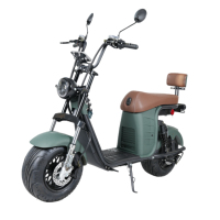 Bicicleta de Turismo de Alta Gama con Llantas Anchas, Manubrio Elevado, Distancia Entre Ejes de 1000W, Motor de 1000W, Batería de Litio, Capacidad de 200 kg