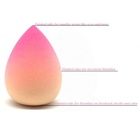 Échantillon gratuit Éponge de maquillage rampe à gradient multicolore Éponge de maquillage cosmétique en gros