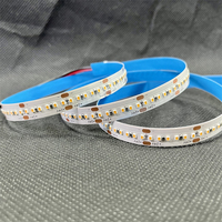 CCT SMD2216 Bande LED flexible bicolore DC12/24V Bande lumineuse LED flexible pour l'éclairage de décoration