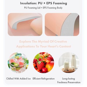 IceMaster Patented design 6 12 21QT PU Foaming Lid +EPS Foaming Body+pp inner outer material small insulated food cooler for can - Product Image 3