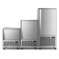 Congélateur-chiller commercial 10 plateaux en acier inoxydable avec refroidissement par air/ventilateur -40°C, congélation rapide et dégivrage automatique