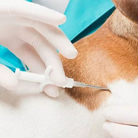 <strong>Best</strong> <strong>selling</strong> <strong>Animal</strong> Identification Microchip Dog Transponder Micro Chip with Syringe Icar Glass <strong>Tag</strong> for FDX-B 134.2khz Pet