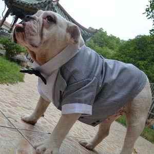 Qiqu Articoli per Animali Domestici: Nuovo Abito da Bulldog Personalizzato, Costume Formale da Cane con Papillon <span class=keywords><strong>Nero</strong></span>, Vestiti da Matrimonio per Pug - Product Image 4