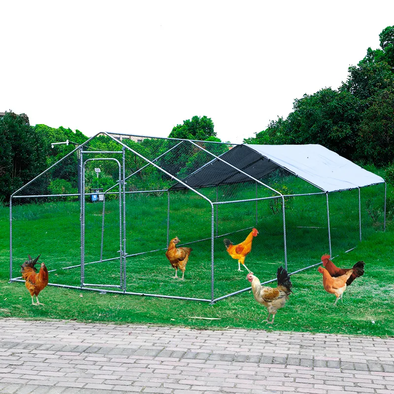 Abd stok 3*2m büyük Metal yürüyüş kümes hayvanları kafes tavuk çalışma evi tavuk çalıştırmak Coop