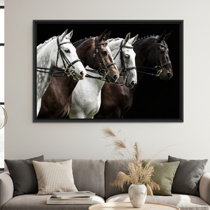 Elegant White and Brown Horse Portrait <b>Canvas</b> Wall Art Print,BLACK <b>FRAMED</b> <b>CANVAS</b> - Product Image 3