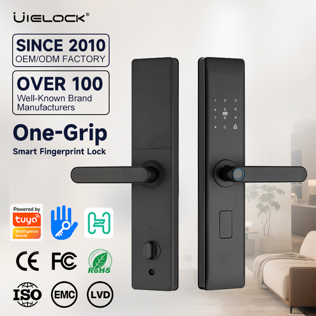 Factory Direct-sale D1-9 Digital Tuya Smart Door Lock Grade C Cloud Storage Multiple Unlocking Methods Electronic Lock Wood Door