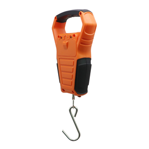 50kg électronique étanche matériel de pêche échelle de poche Portable balance numérique poids carpe poisson échelle - Product Image 2