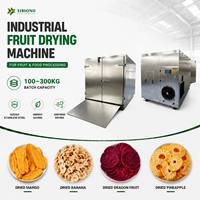 Industriële warmtepomp voedseldroger van 300 kg, SUS304, commerciële fruitdroogmachine voor mango, banaan, ananas, chili en vlees.