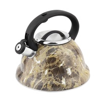 Bouilloire à thé sifflante en acier inoxydable de couleur domestique théière à eau avec poignée en nylon