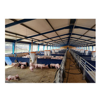 Bâtiment d'élevage de chèvres/vaches préfabriqué moderne, maison d'élevage de moutons, structure en acier, construction d'élevage de porcs