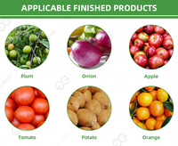 Citrusclassificeermachine, kalibratietafel, mangosteen sorteermachine, sinaasappelrollen in sorteermachine